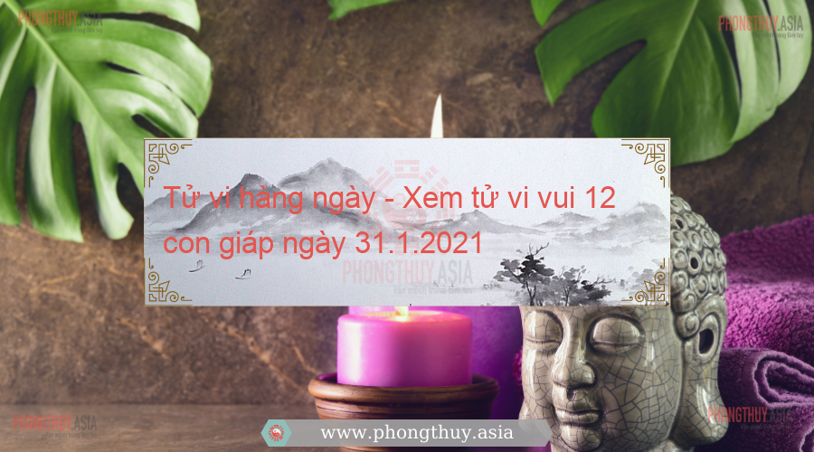 Tử vi hàng ngày - Xem tử vi vui 12 con giáp ngày 31.1.2021