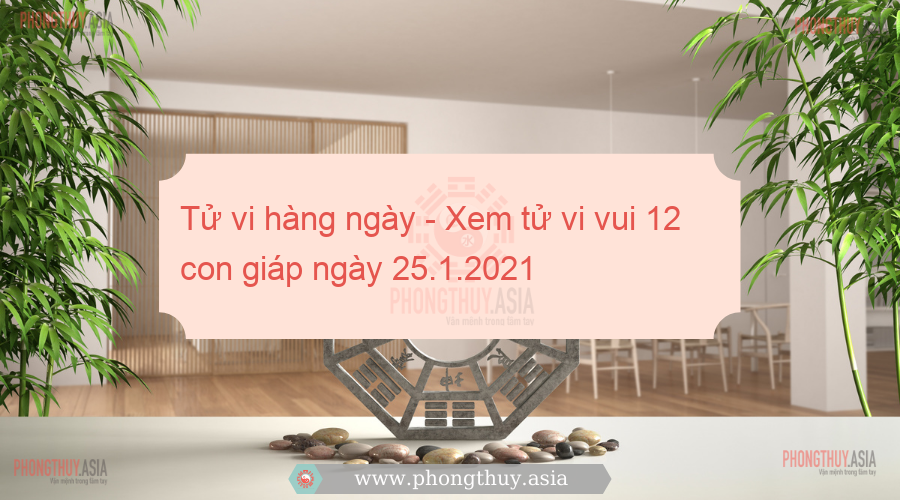 Tử vi hàng ngày - Xem tử vi vui 12 con giáp ngày 25.1.2021