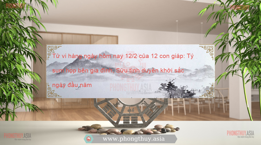 Tử vi hàng ngày hôm nay 12/2 của 12 con giáp: Tý sum họp bên gia đình, Sửu tình duyên khởi sắc ngày đầu năm