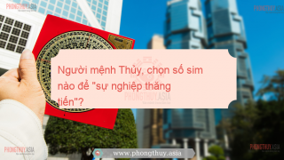 Người mệnh Thủy, chọn số sim nào để "sự nghiệp thăng tiến"?