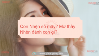Con Nhện số mấy? Mơ thấy Nhện đánh con gì?
