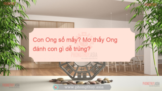Con Ong số mấy? Mơ thấy Ong và những con số may mắn?