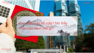 Con Thằn Lằn số mấy? Mơ thấy Thằn Lằn đánh con gì?