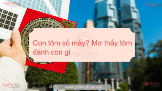 Con tôm số mấy? Mơ thấy tôm đánh con gì