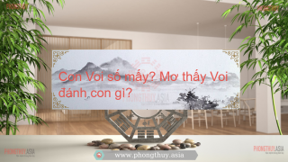Con Voi số mấy? Mơ thấy Voi đánh con gì?