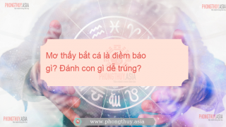 Mơ thấy bắt cá là điềm báo gì? Đánh con gì dễ trúng?