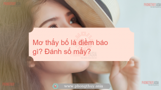 Mơ thấy bố là điềm báo gì? Giải mã giấc mơ