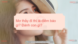 Mơ thấy đi thi là điềm báo gì? Đánh con gì?