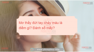 Mơ thấy đứt tay chảy máu là điềm gì? Giải mã giấc mơ