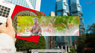 Mơ thấy hoa sen là điềm báo gì? Giải mã giấc mơ