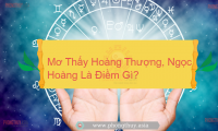 Mơ Thấy Màu Đỏ Là Điềm Báo Gì? Giải mã giấc mơ