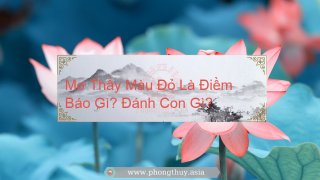 Mơ Thấy Màu Đỏ Là Điềm Báo Gì? Giải mã giấc mơ