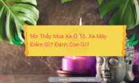 Mơ Thấy Màu Đỏ Là Điềm Báo Gì? Giải mã giấc mơ