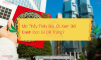 Mơ Thấy Màu Đỏ Là Điềm Báo Gì? Giải mã giấc mơ
