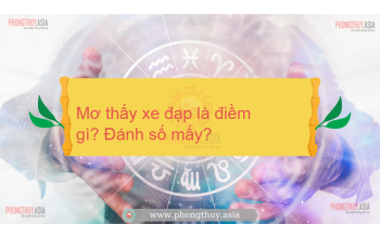 Mơ thấy xe đạp là điềm gì? Giải mã giấc mơ