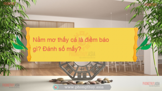 Nằm mơ thấy cá là điềm báo gì? Giải mã giấc mơ