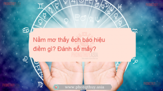 Nằm mơ thấy ếch báo hiệu điềm gì? Giải mã giấc mơ