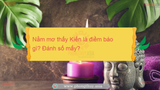 Nằm mơ thấy Kiến là điềm báo gì? Giải mã giấc mơ