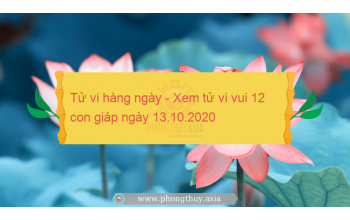 Tử vi hàng ngày - Xem tử vi vui 12 con giáp ngày 13.10.2020