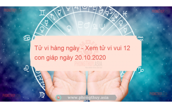 Tử vi hàng ngày - Xem tử vi vui 12 con giáp ngày 20.10.2020