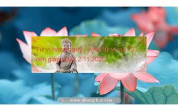 Tử vi hàng ngày - Xem tử vi vui 12 con giáp ngày 2.11.2020