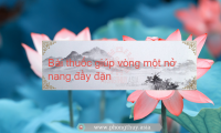 Món ăn bài thuốc tăng cường miễn dịch