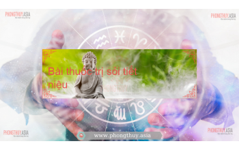Bài thuốc trị sỏi tiết niệu