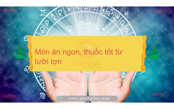 Món ăn ngon, thuốc tốt từ lưỡi lợn