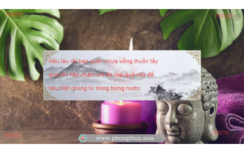 Nếu lâu rồi bạn quên chưa uống thuốc tẩy giun thì hãy chăm chỉ ăn loại quả này để tiêu diệt chúng từ trong trứng nước