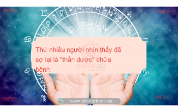 Thứ nhiều người nhìn thấy đã sợ lại là "thần dược" chữa bệnh