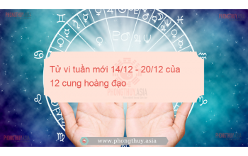 Tử vi tuần mới 14/12 - 20/12 của 12 cung hoàng đạo