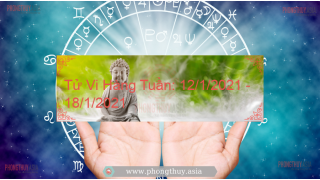 Tử Vi Hàng Tuần: 12/1/2021 - 18/1/2021