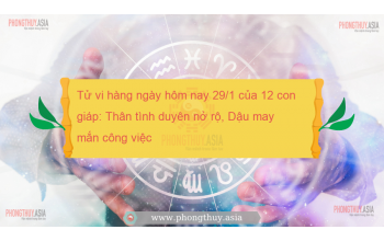 Tử vi hàng ngày hôm nay 29/1 của 12 con giáp: Thân tình duyên nở rộ, Dậu may mắn công việc