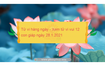 Tử vi hàng ngày - Xem tử vi vui 12 con giáp ngày 28.1.2021