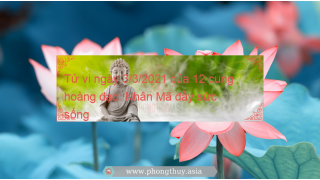 Tử vi ngày 3/3/2021 của 12 cung hoàng đạo: Nhân Mã đầy sức sống