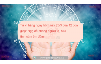Tử vi hàng ngày hôm nay 23/3 của 12 con giáp: Ngọ đề phòng người lạ, Mùi tình cảm êm đềm