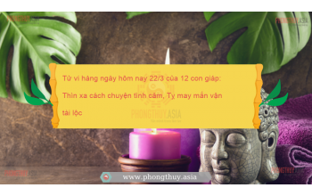 Tử vi hàng ngày hôm nay 22/3 của 12 con giáp: Thìn xa cách chuyện tình cảm, Tỵ may mắn vận tài lộc