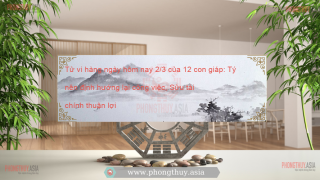 Tử vi hàng ngày hôm nay 2/3 của 12 con giáp: Tý nên định hướng lại công việc, Sửu tài chính thuận lợi