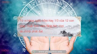 Tử vi hàng ngày hôm nay 1/3 của 12 con giáp: Tuất tình cảm rộng mở, Hợi tài chính phát đạt