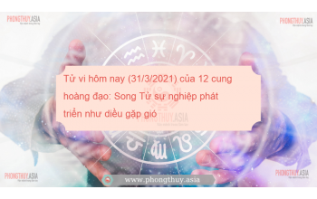 Tử vi hôm nay (31/3/2021) của 12 cung hoàng đạo: Song Tử sự nghiệp phát triển như diều gặp gió