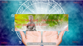 Tử vi hàng ngày - Xem tử vi vui 12 con giáp ngày 9.5.2021