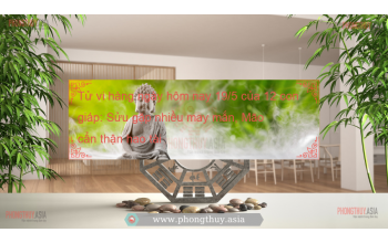 Tử vi hàng ngày hôm nay 19/5 của 12 con giáp: Sửu gặp nhiều may mắn, Mão cẩn thận hao tài