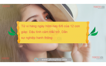 Tử vi hàng ngày hôm nay 6/6 của 12 con giáp: Dậu tình cảm trắc trở, Dần sự nghiệp hanh thông