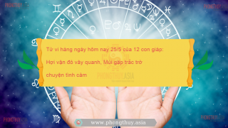 Tử vi hàng ngày hôm nay 25/5 của 12 con giáp: Hợi vận đỏ vây quanh, Mùi gặp trắc trở chuyện tình cảm