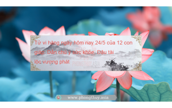 Tử vi hàng ngày hôm nay 24/5 của 12 con giáp: Dần chú ý sức khỏe, Dậu tài lộc vượng phát