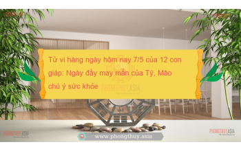 Tử vi hàng ngày hôm nay 7/5 của 12 con giáp: Ngày đầy may mắn của Tý, Mão chú ý sức khỏe