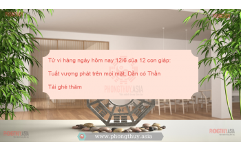 Tử vi hàng ngày hôm nay 12/6 của 12 con giáp: Tuất vượng phát trên mọi mặt, Dần có Thần Tài ghé thăm