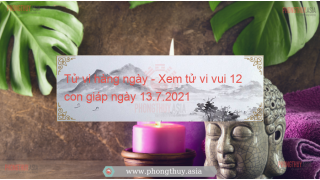 Tử vi hàng ngày - Xem tử vi vui 12 con giáp ngày 13.7.2021