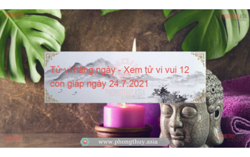 Tử vi hàng ngày - Xem tử vi vui 12 con giáp ngày 24.7.2021