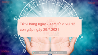 Tử vi hàng ngày - Xem tử vi vui 12 con giáp ngày 29.7.2021